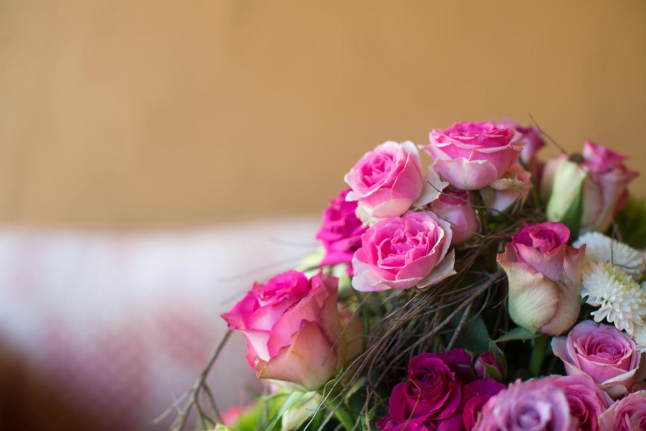 Weingut Georgium Bed & Breakfast