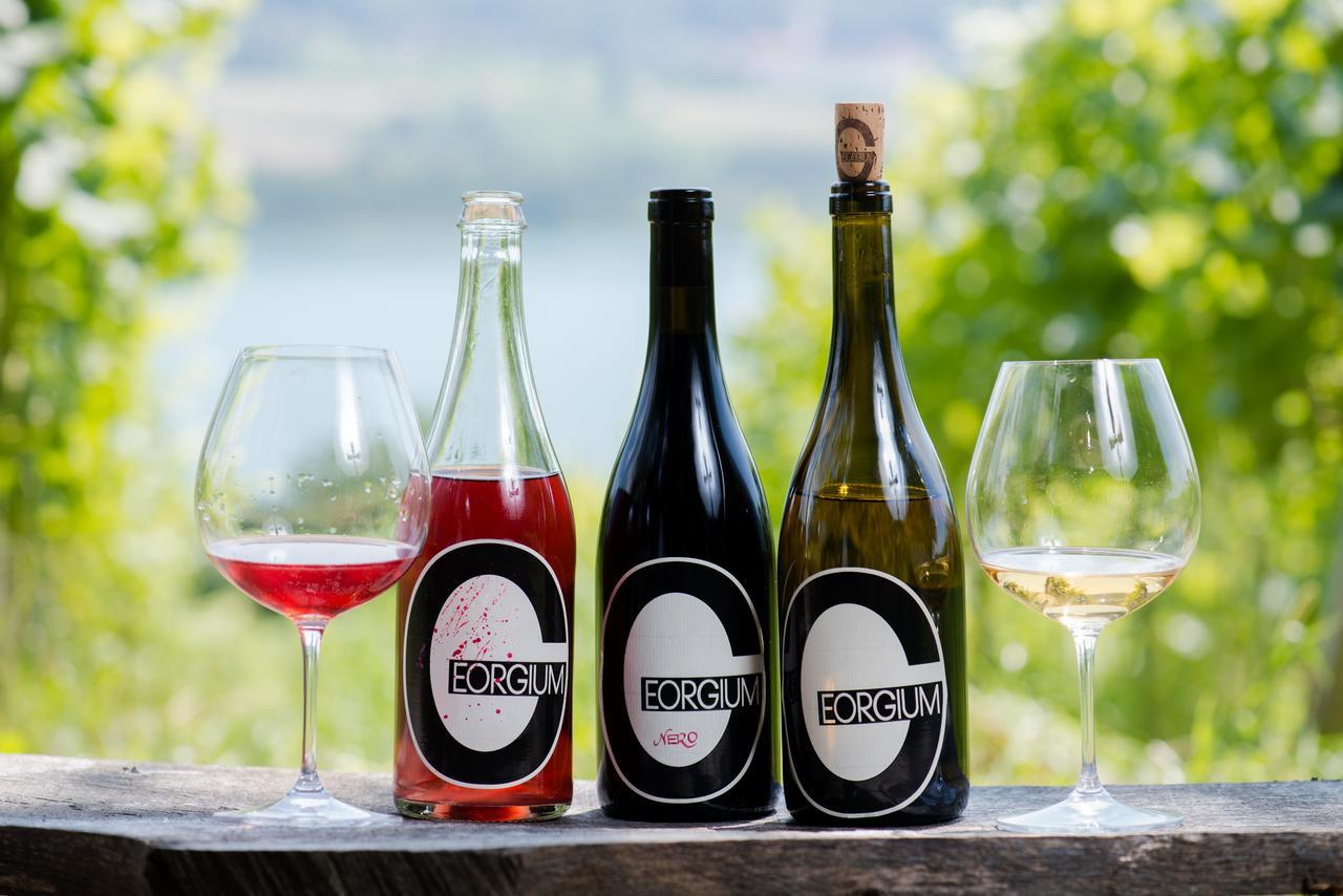 Weingut Georgium Bed & Breakfast Sankt Georgen am Längsee